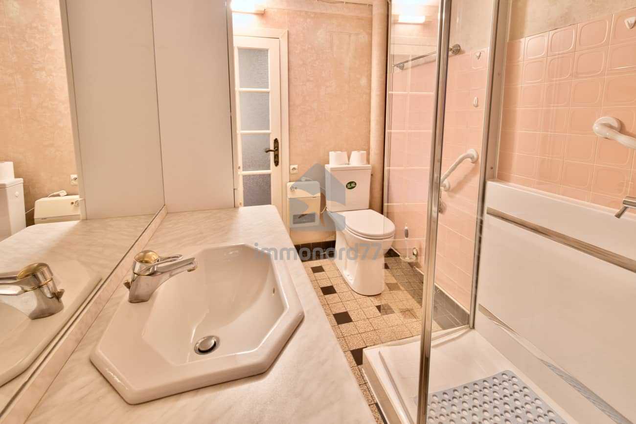 Vente maison roche posay wc 65cc79f535e42